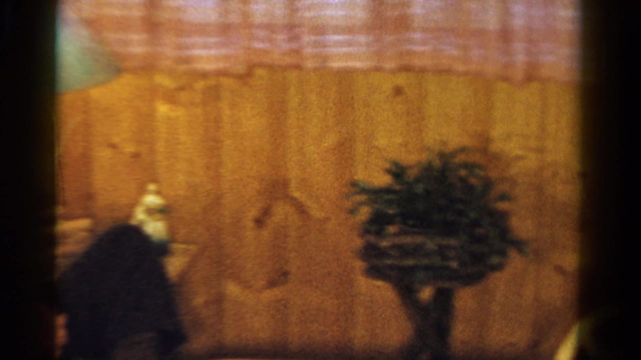 A warm 8mm interior view shows a wood-paneled wall, window curtains, a small potted plant, and the edge of a seated person.