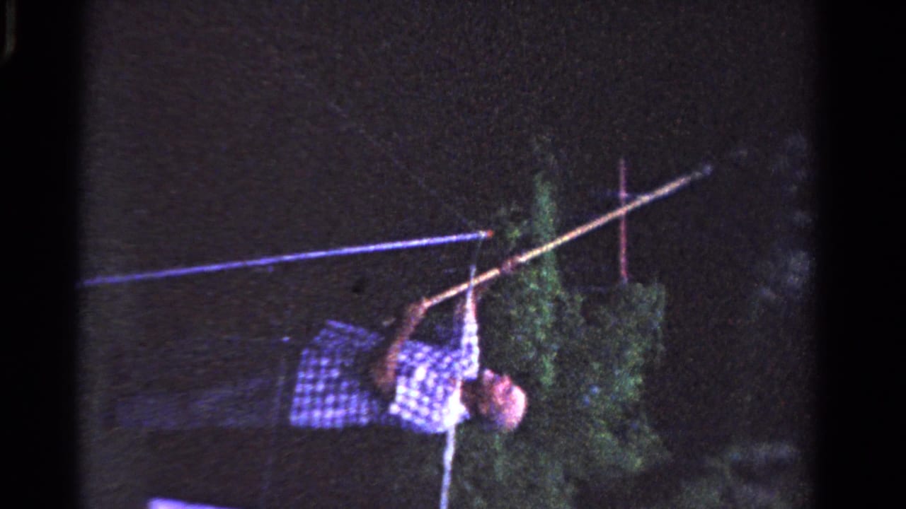 The man continues working with a long pole near leafy branches, with dark sky and 8mm grain visible in the Ontario night scene.