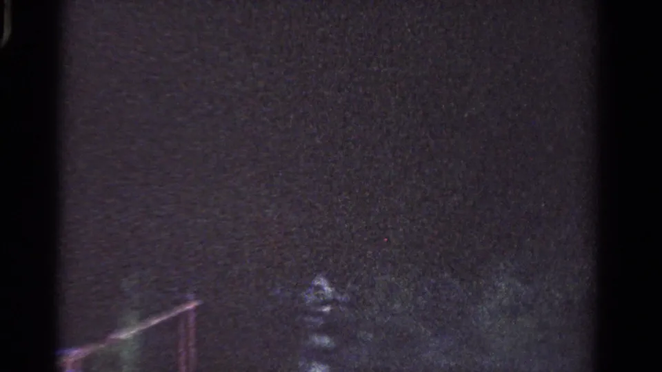 A dim, grainy frame shows partial foliage and the pruning pole near the edge, with the man mostly out of view in the 1958 Ontario clip.