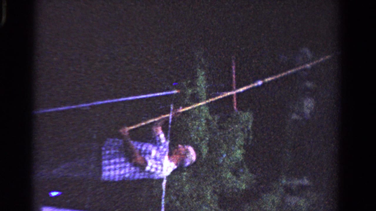 Man in a checkered shirt stands in grass holding a long pole toward an overhead line at night.