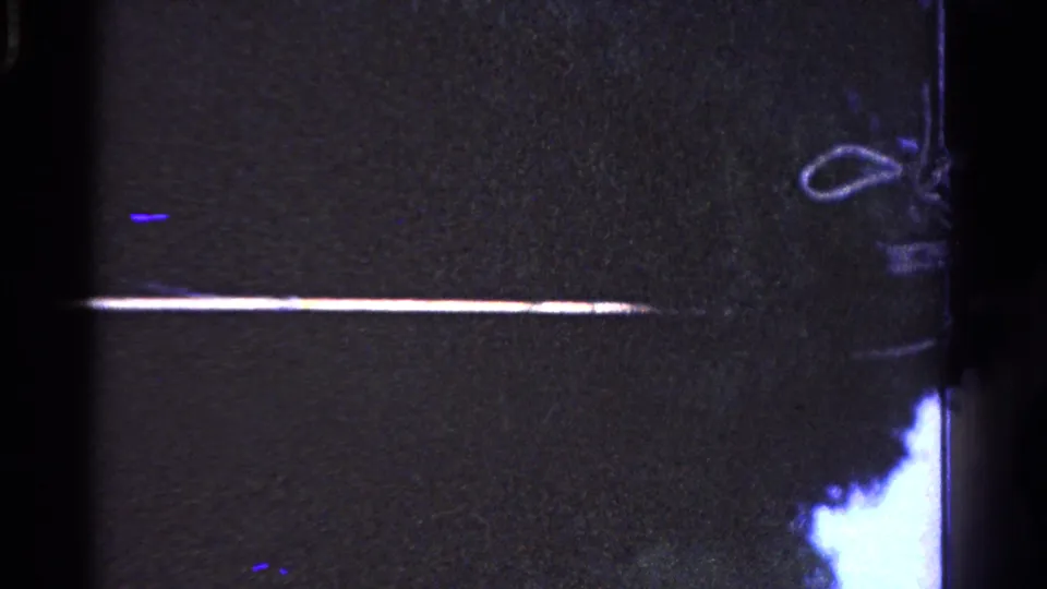 The pole appears near the bottom of the night frame, with a looped wire-like shape and dark foliage along the edge.