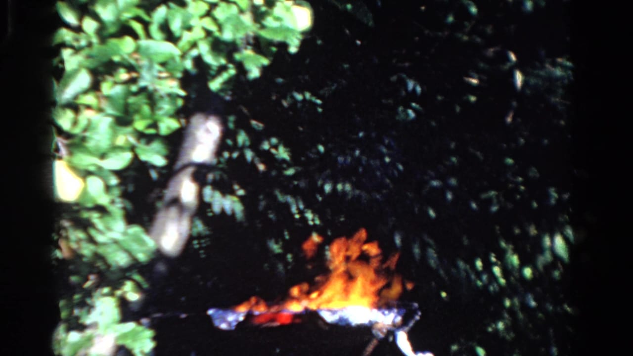 Open flame burning in front of leafy trees.