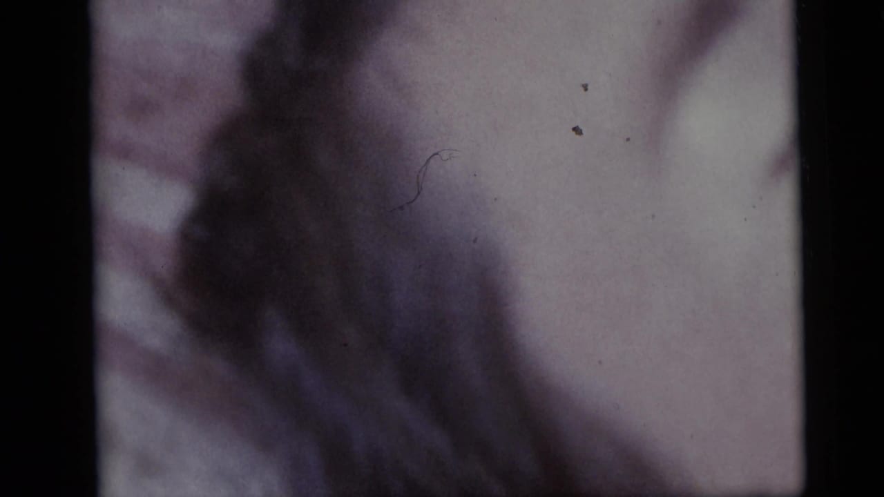 Soft close-up of a sleeping face with dark hair partly covering the frame.