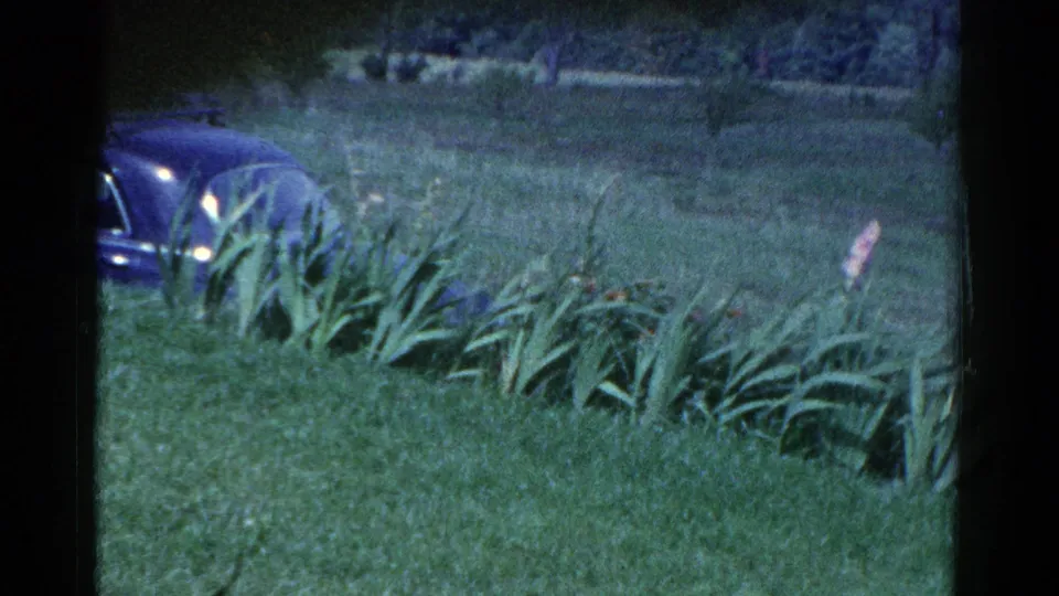 1959 Catskill 8mm frame showing a partial dark car beyond a green lawn and a bed of tall leafy flowering plants.