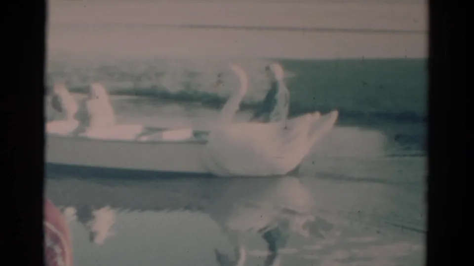 1959 Catskill home-movie frame showing a white swan-shaped boat on calm water, with riders partly visible and soft faded 8mm color.