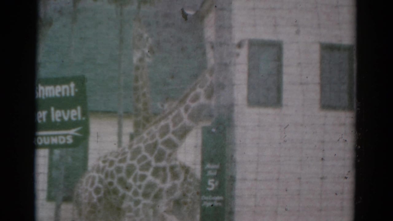 Two giraffes near a pale building and green signs behind a dark fence edge.