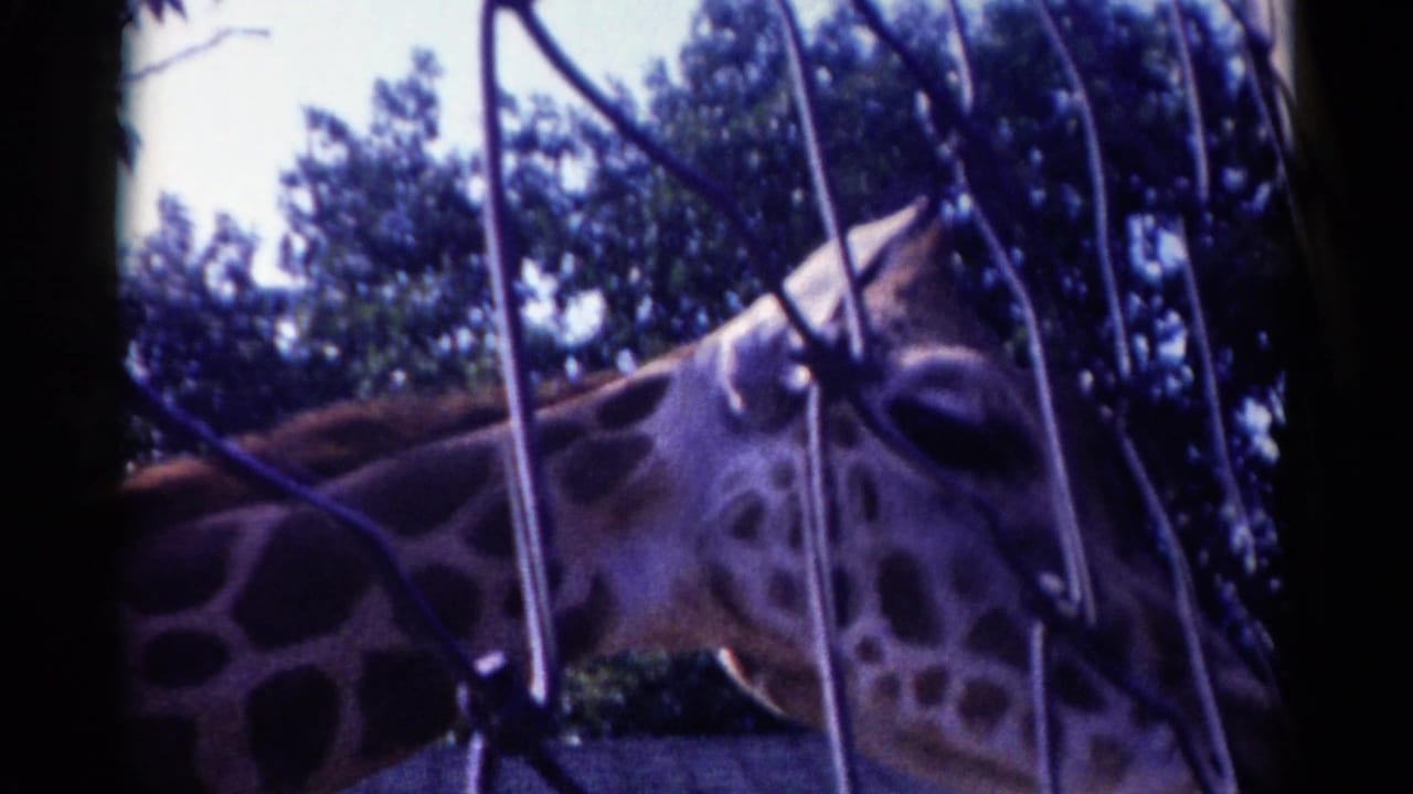 Close view of a giraffe's face and neck behind crossing fence wires.