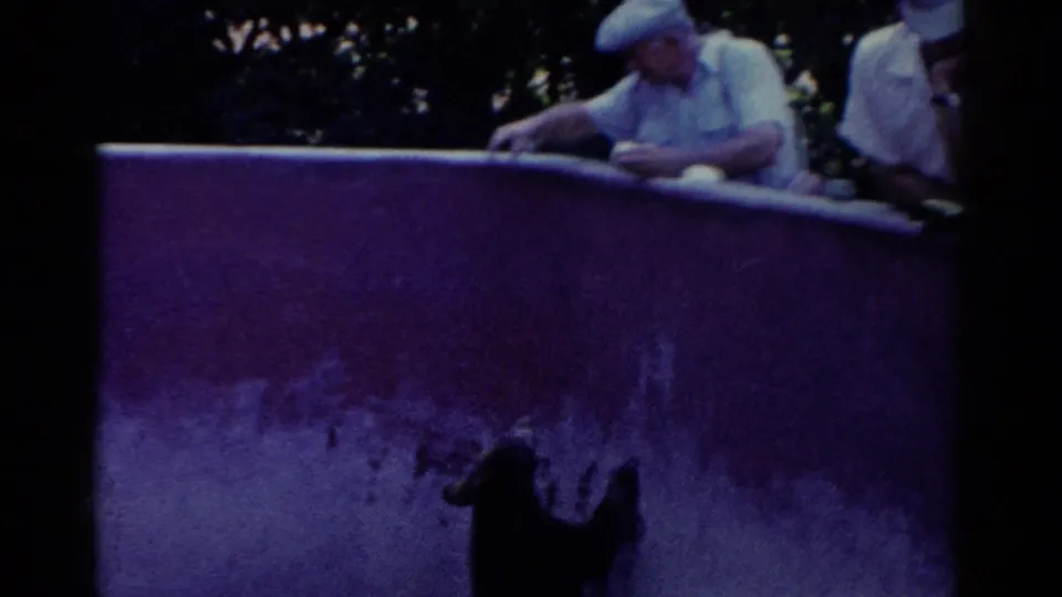 Visitors stand at the top of a concrete zoo barrier while a small bear reaches upward from the shaded enclosure below.