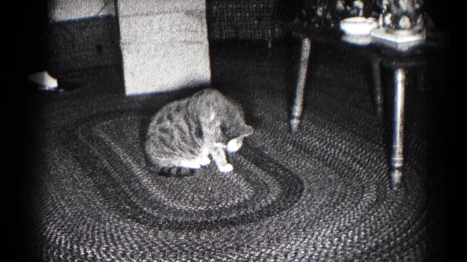 1959 Hagerstown frame showing a tabby cat bending to lick its paw on a braided rug beneath dim household light.