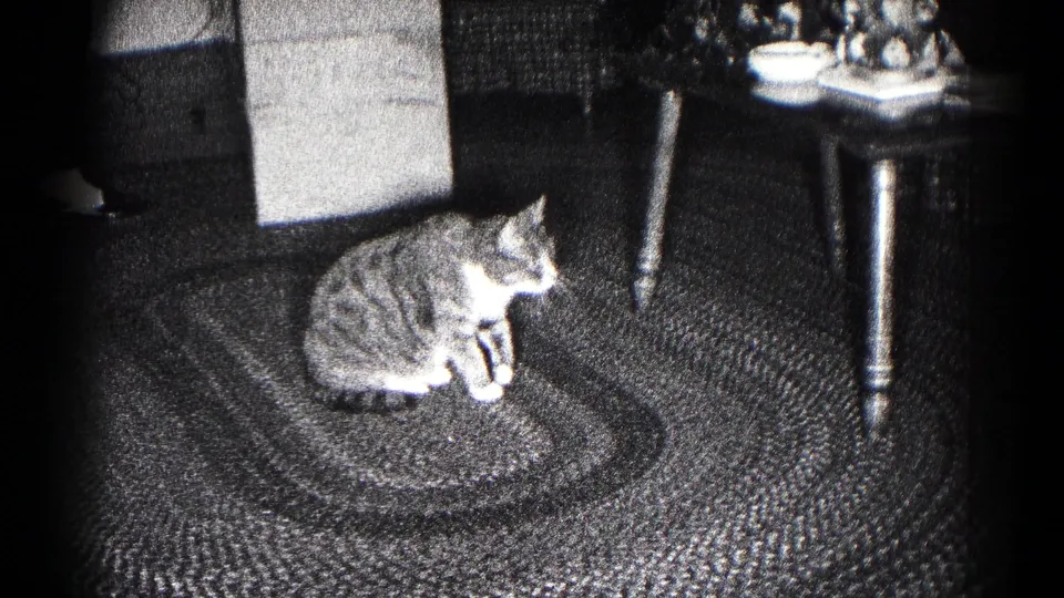 1959 Hagerstown home-movie frame of a tabby cat sitting upright on a braided rug beside a small table in a living room.