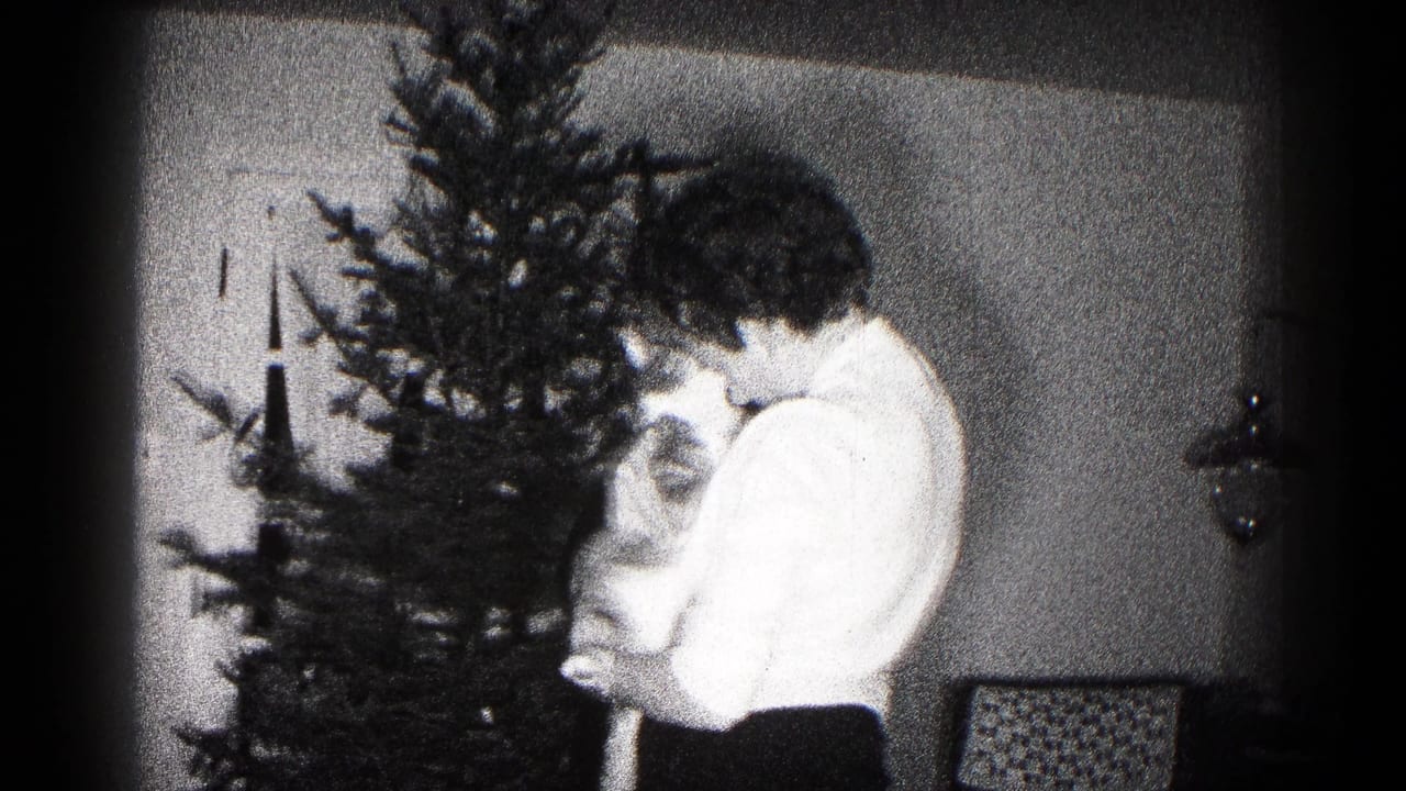 Woman looks down while holding a cat near the branches of a Christmas tree.