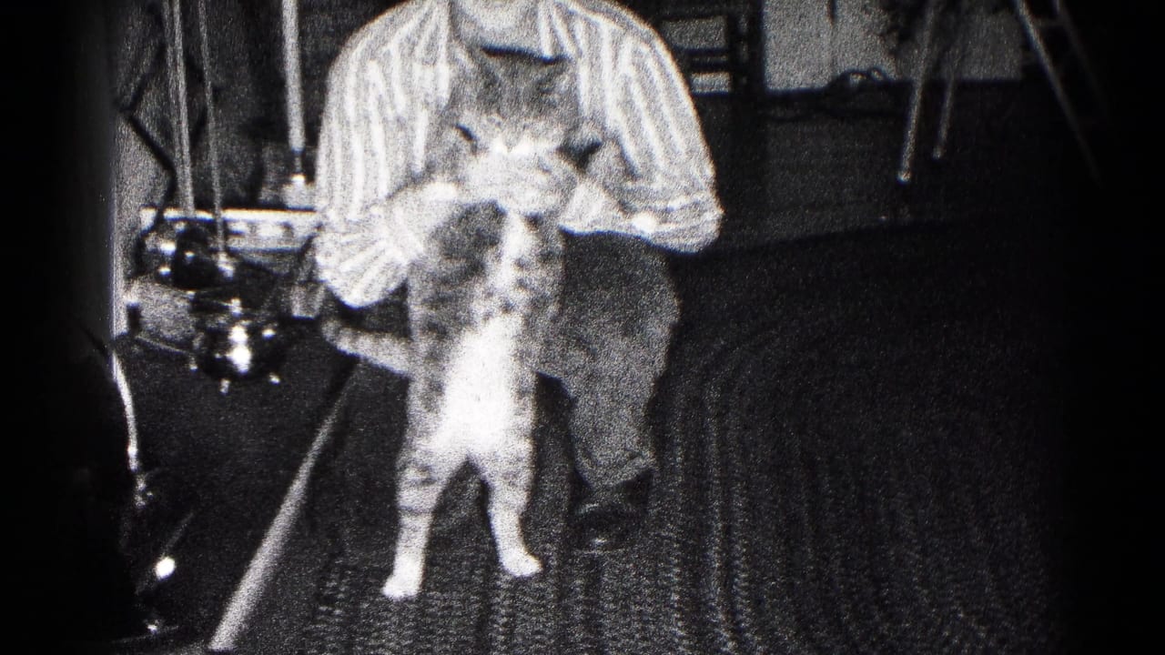 Boy holds a tabby cat facing the camera in a dim home interior.