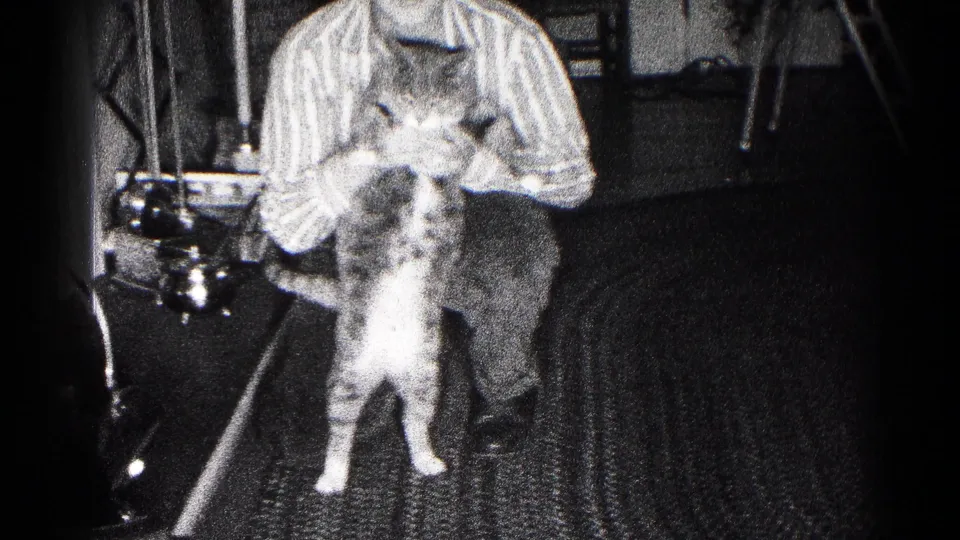 Teenage boy in striped shirt holds a tabby cat toward the camera in a 1959 Maryland home interior.