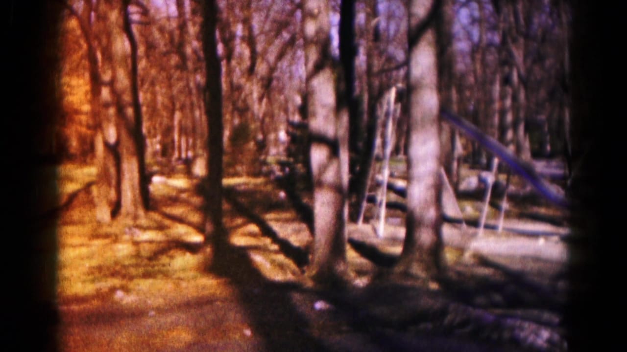 1959 Hagerstown home-movie frame with leafless trees, strong shadows, and a slide or swing structure in a wooded play area.