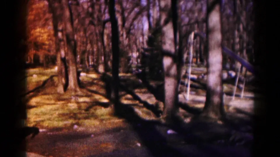 1959 Hagerstown 8mm still showing a static view of tall trees, shadowed ground, and a partially hidden playground slide.