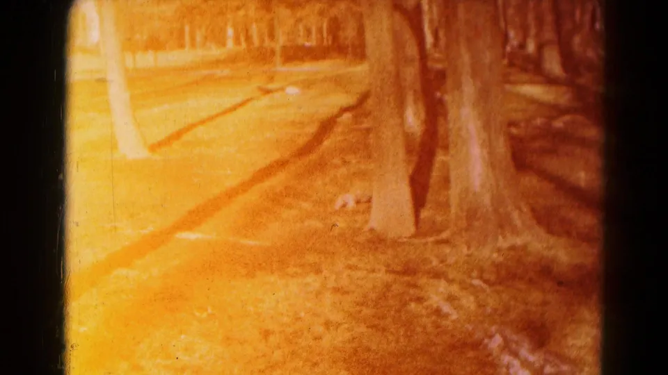 Warm, overexposed 1959 Hagerstown park frame with tree trunks, grass, bare trees, and diagonal shadows.