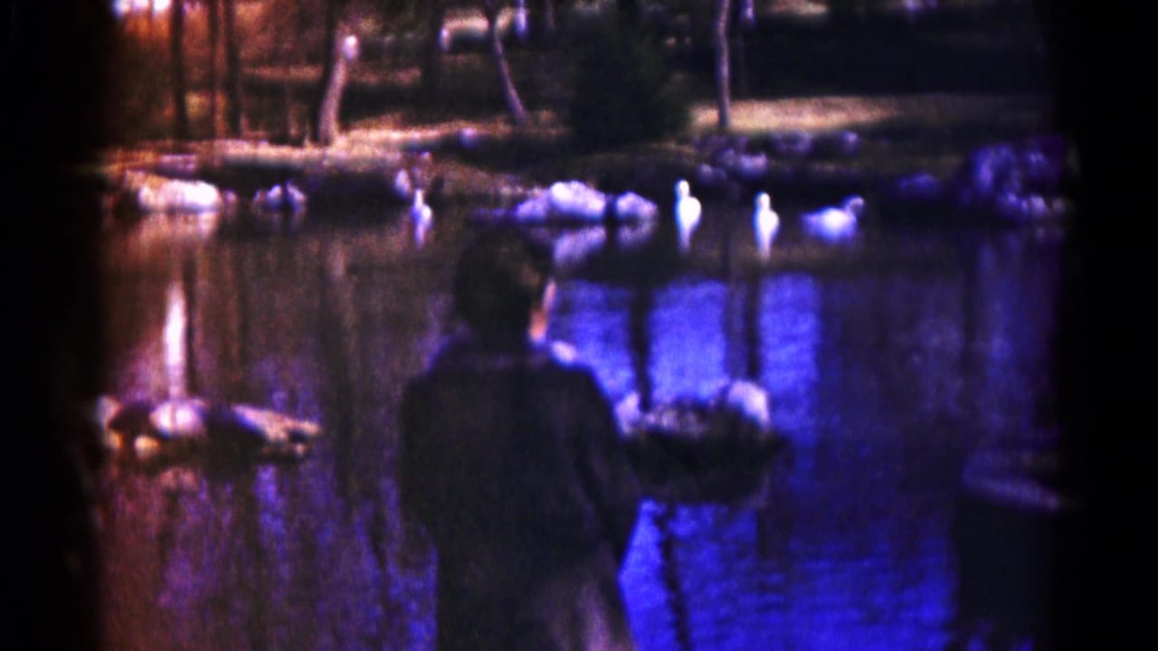 1959 Hagerstown home-movie frame showing a dark-coated person near the lake edge watching white birds on reflective water.
