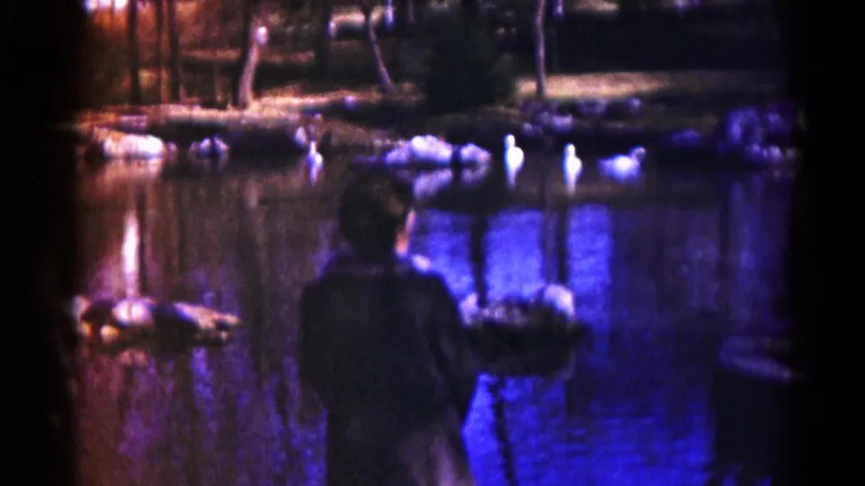 1959 Hagerstown home-movie frame showing a dark-coated person near the lake edge watching white birds on reflective water.