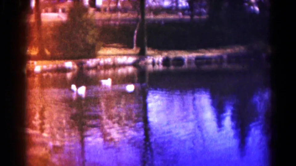 1959 Hagerstown lakeside view with white birds on blue-orange reflective water and a tree-lined bank beyond.