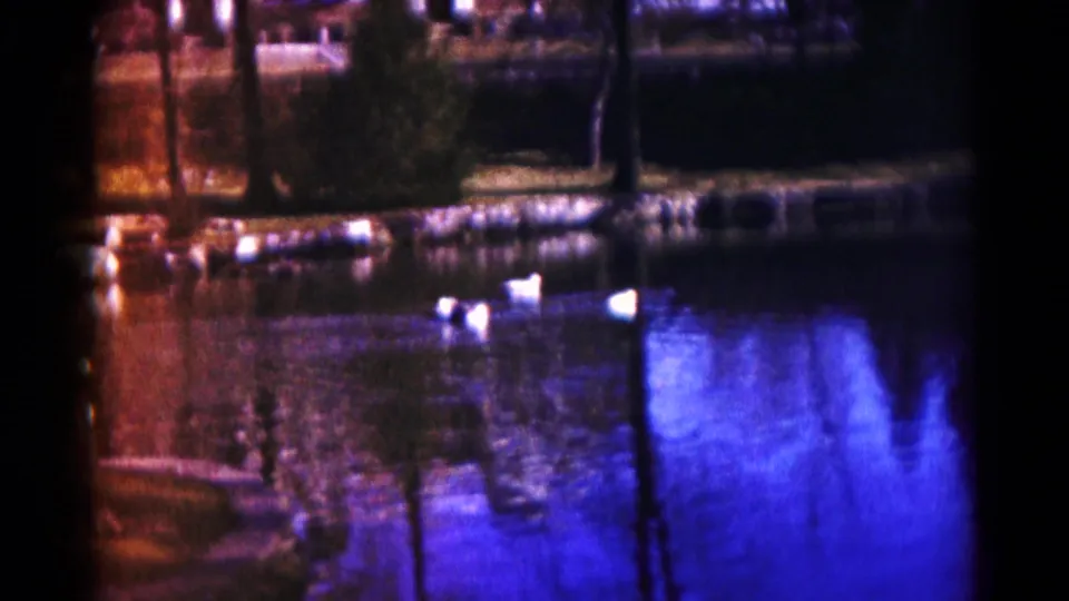 Home-movie frame from Hagerstown in 1959 showing white birds near the far shore of a lake with strong blue reflections.