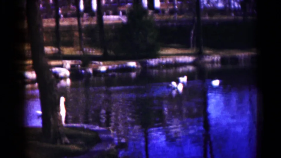 1959 Hagerstown lake scene with white birds, tree trunks, shoreline rocks, and saturated blue water reflections.