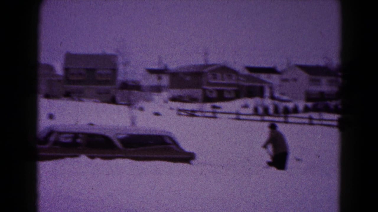 Person shoveling near a snow-covered car and residential houses.