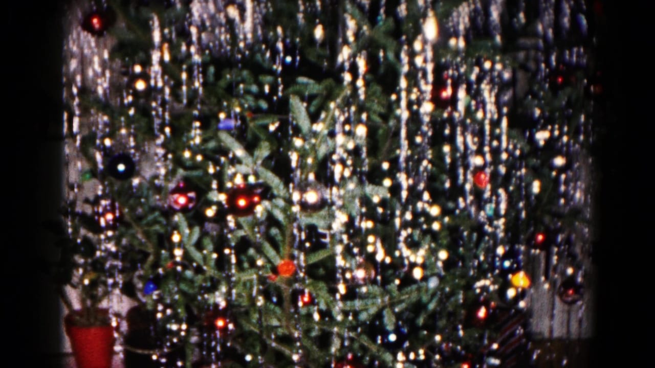 Decorated Christmas tree with silver tinsel, colored ornaments, and potted plants nearby.