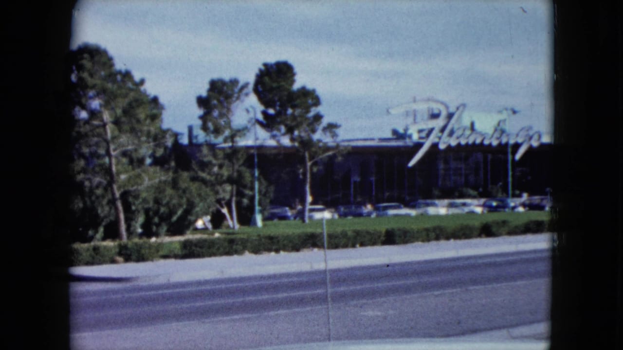 Flamingo Hotel sign and facade behind trees, hedges, parked cars, and a multi-lane road.