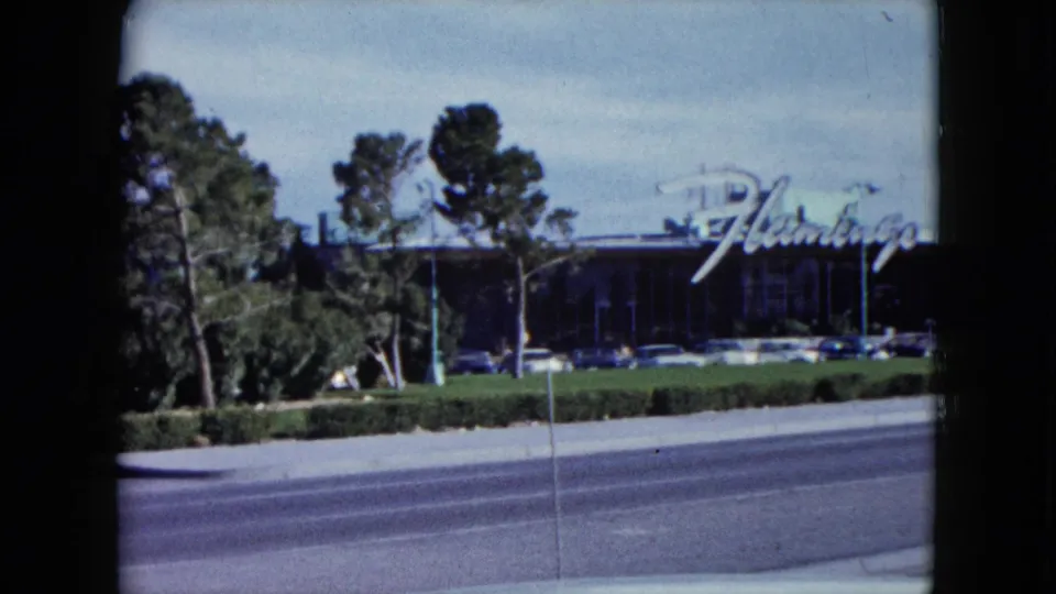Roadside 1959 Nevada view of the Flamingo Hotel sign partly framed by trees, with parked cars and landscaped grounds visible.