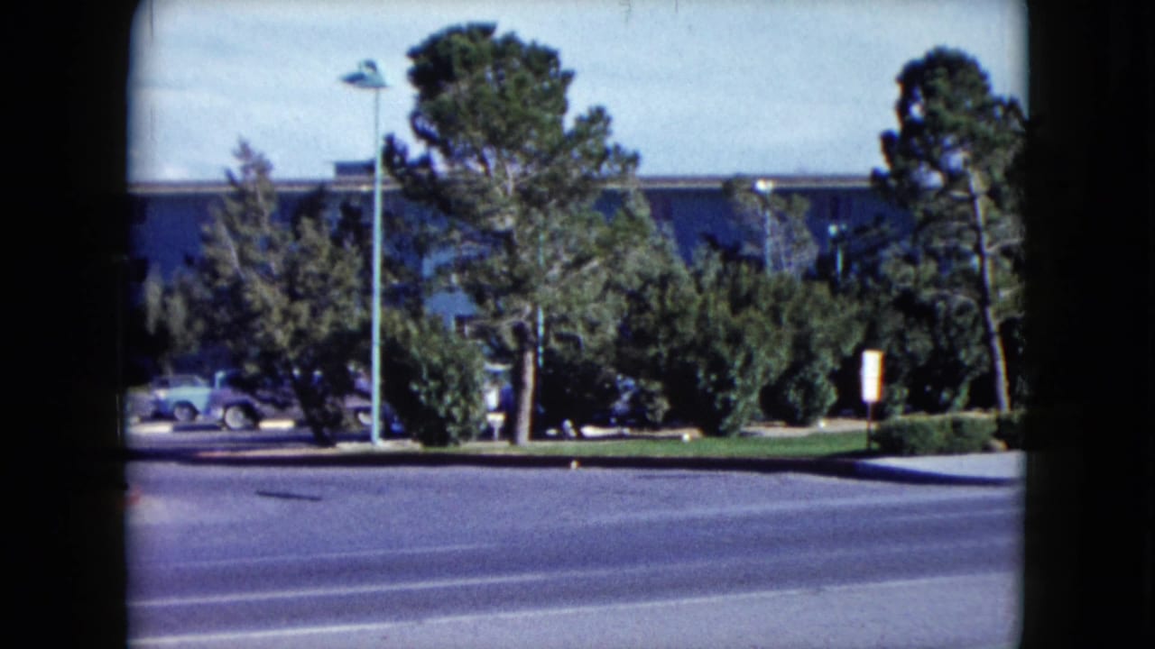 Roadside view of trees, a street lamp, parked cars, and a blue building.