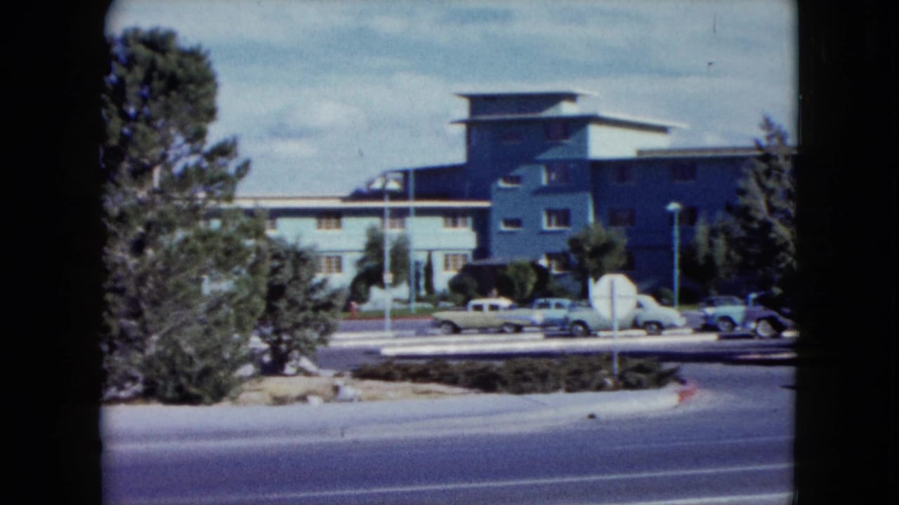Similar street view with cars, trees, and a modern building across the road.