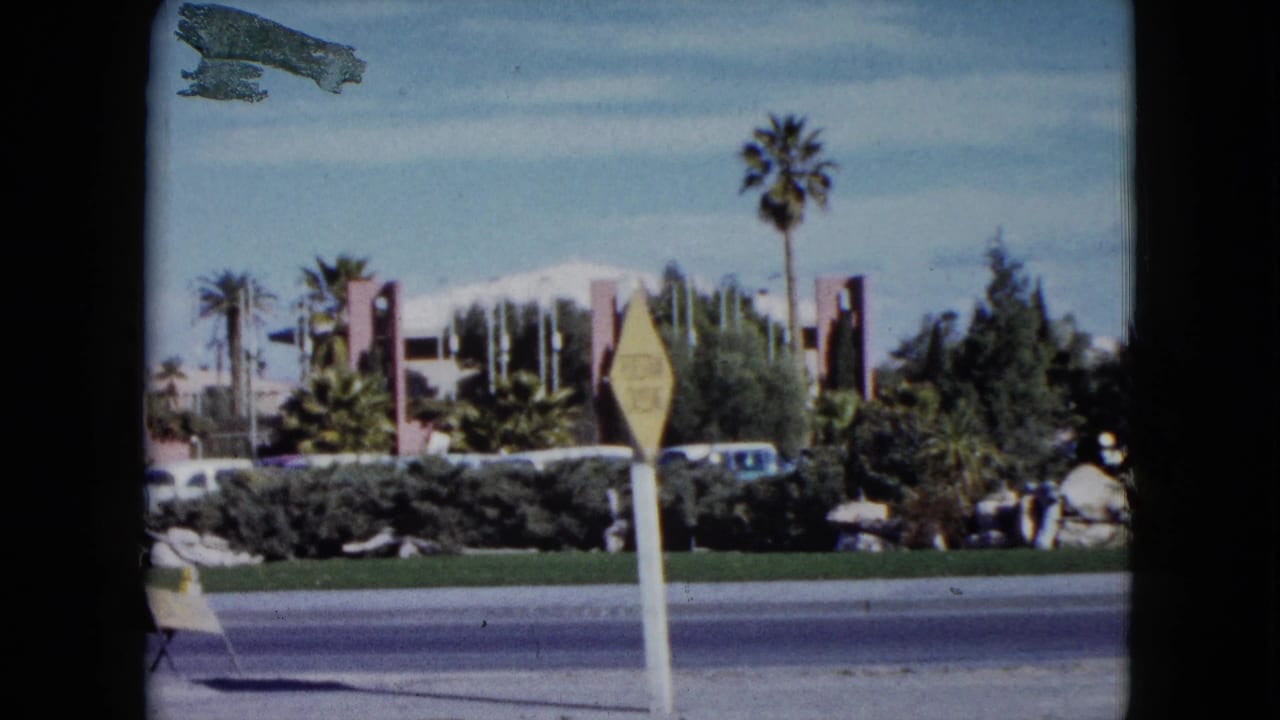 Palm-lined roadside with a yellow diamond sign, low building, parked cars, hedges, and rocks.