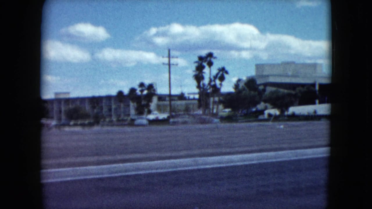 Wide road with palm trees, parked cars, utility poles, and low buildings under a bright sky.
