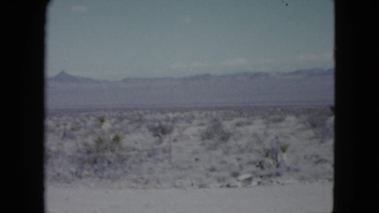 Sparse desert plain with scrub brush and distant mountains under a pale sky.