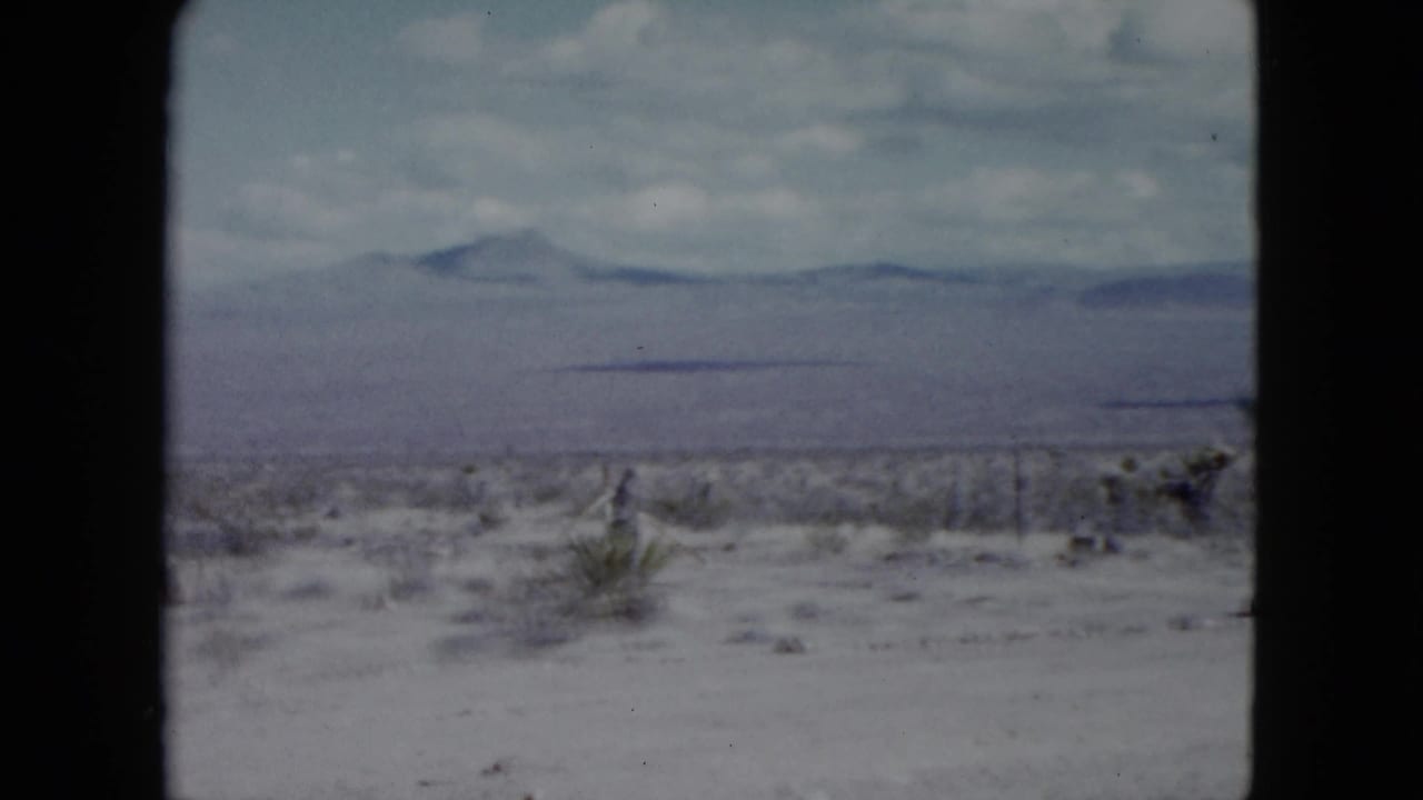 Pale desert plain with sparse shrubs and distant mountains under a cloudy sky.