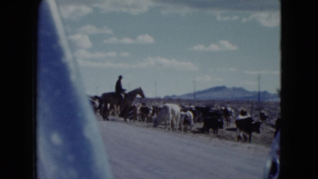 Mounted rider herding cattle beside a paved road, with mountains and utility poles beyond.