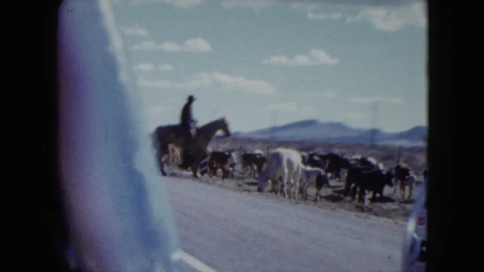 A passing vehicle frames a roadside cattle herd and mounted rider in 1959 Nevada desert footage.