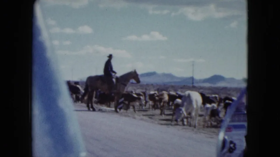 A rider on horseback and cattle are seen along a Nevada roadside, with desert hills in the distance.