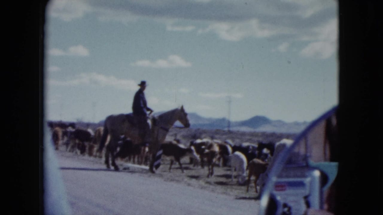 1959 Nevada 8mm frame showing a cowboy on horseback near cattle crossing a road, viewed from a vehicle-side perspective.