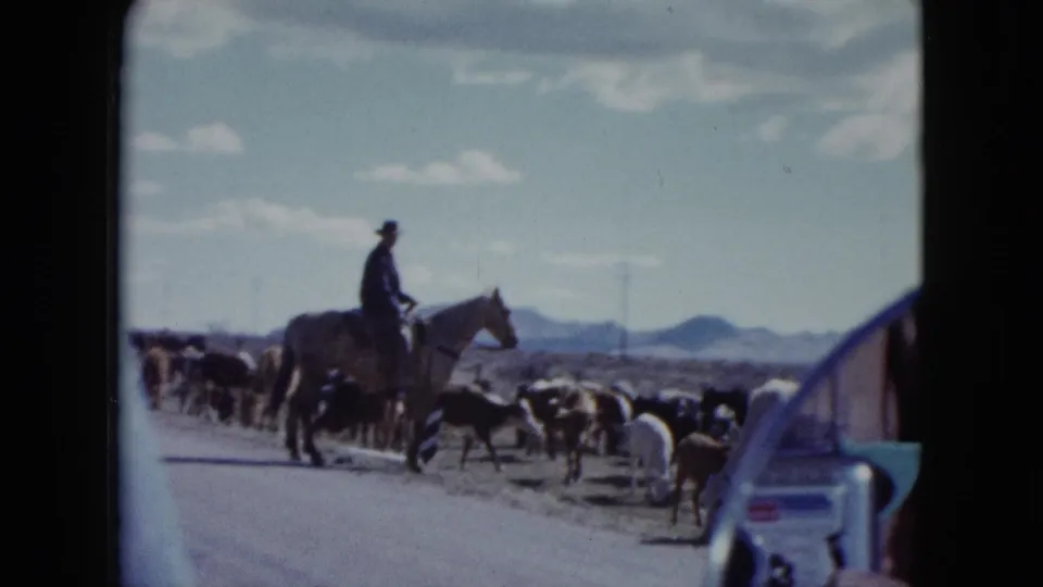 1959 Nevada 8mm frame showing a cowboy on horseback near cattle crossing a road, viewed from a vehicle-side perspective.