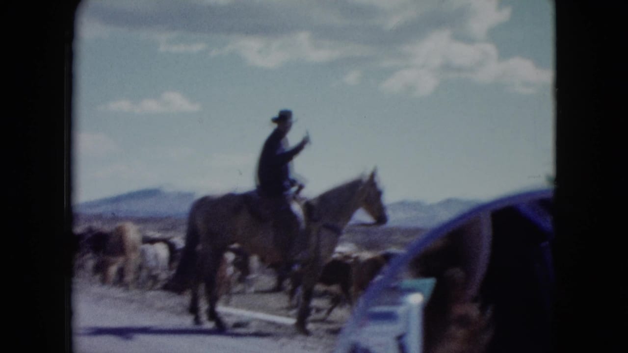 Mounted cowboy gestures while cattle move across the road near a stopped car.