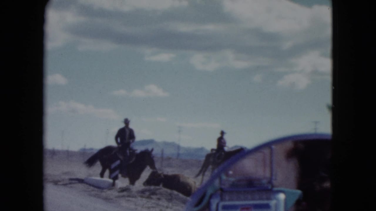 Two riders on horseback near cattle beside a road.