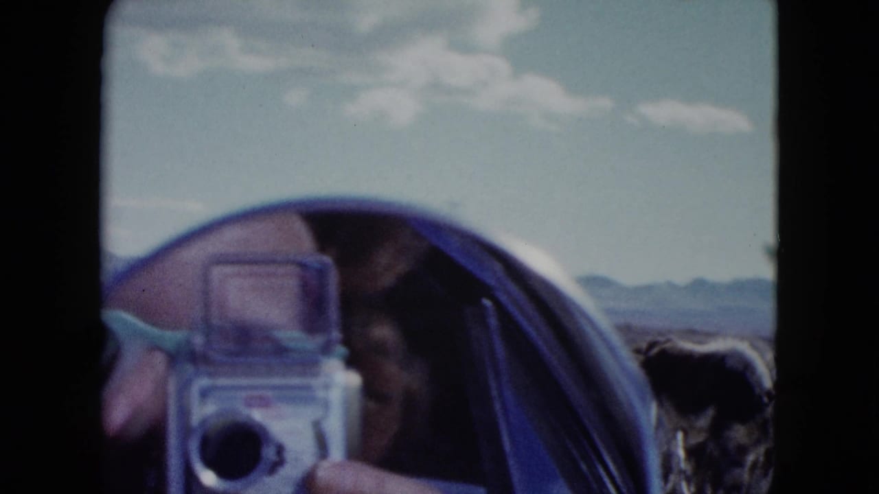 A foreground camera partially blocks the view as cattle move through a Nevada desert roadside scene.