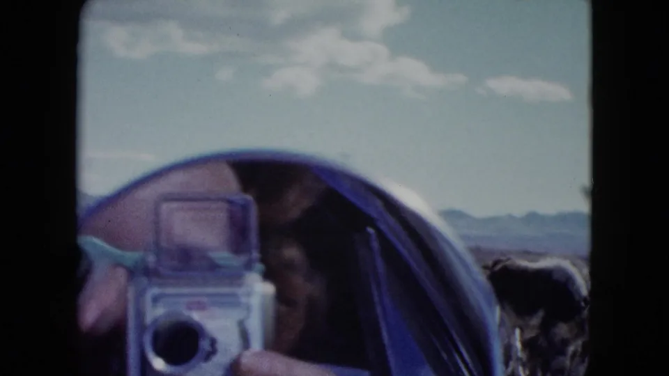 A foreground camera partially blocks the view as cattle move through a Nevada desert roadside scene.