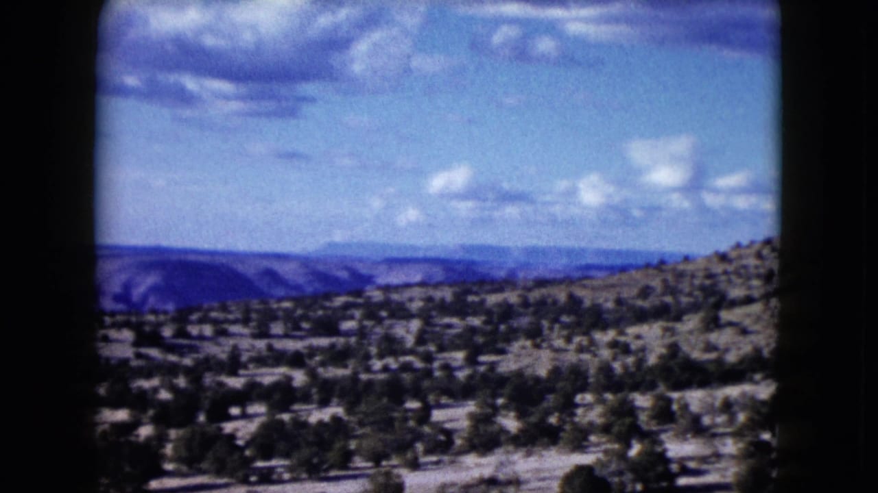 Desert terrain with scattered trees below blue sky and distant mesas.