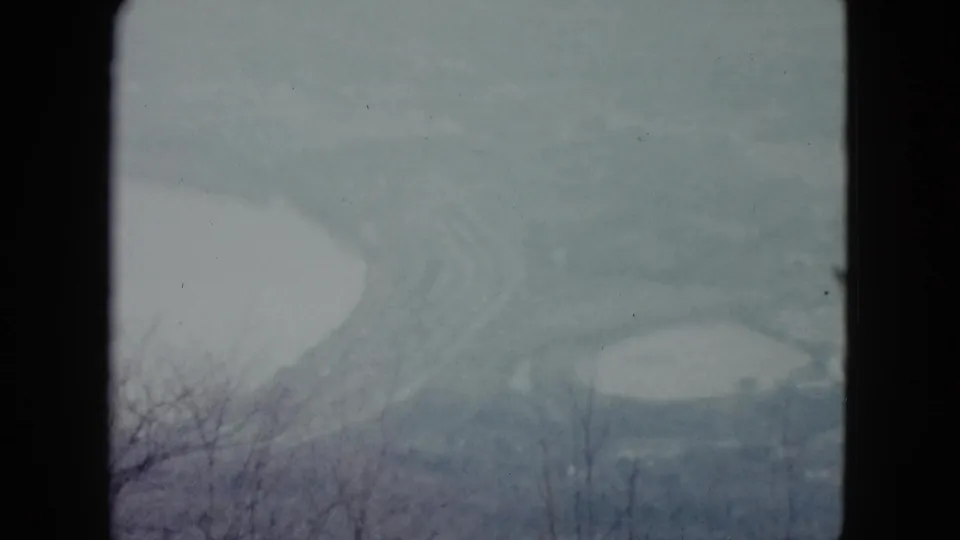 The final frame holds on a hazy Nevada water view, with bare trees in the foreground and pale channels or shoreline beyond.