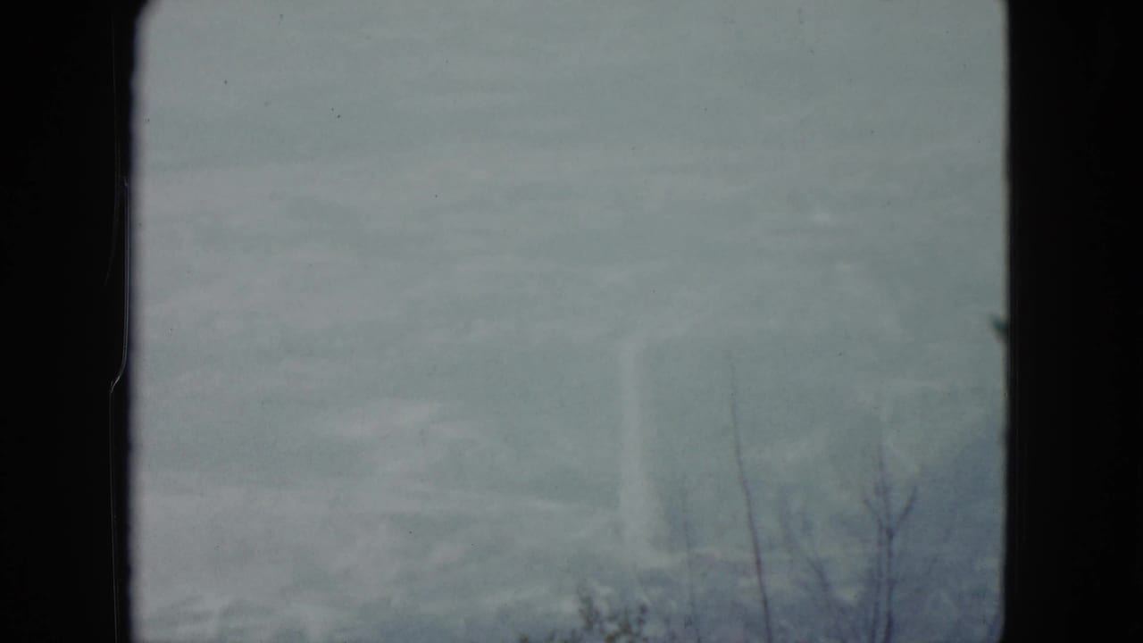Pale hazy sky with faint distant terrain and bare branches at the lower right.