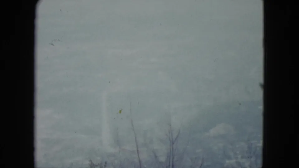 1959 Nevada 8mm frame with a bright hazy sky, distant low landscape, thin tree branches, and visible dust and scratch marks.