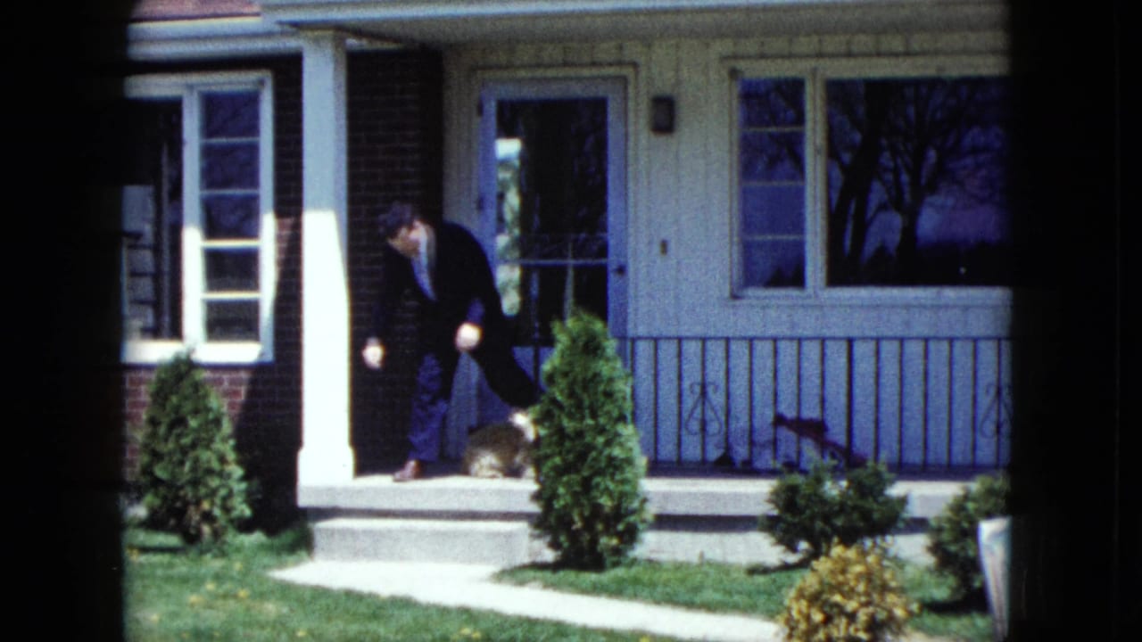 Man in a dark suit bends near a small dog on the front porch of a suburban house.