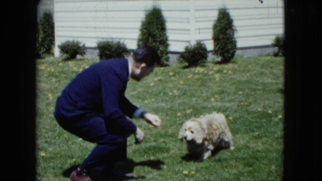 A suited man crouches in a Nevada yard and reaches toward a small fluffy puppy on the grass in this 1959 home-movie frame.